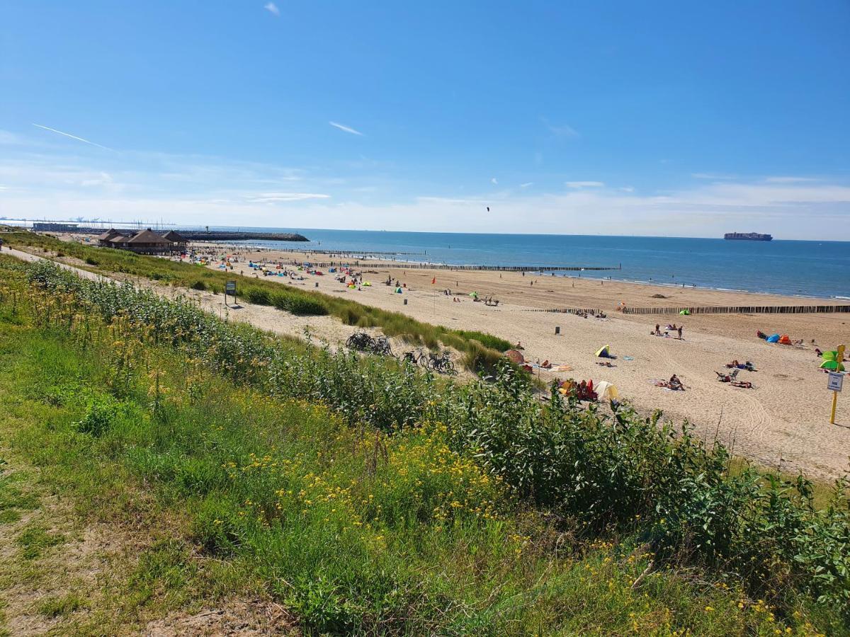 Le Normandy 5Star Apartment Cadzand Exterior photo